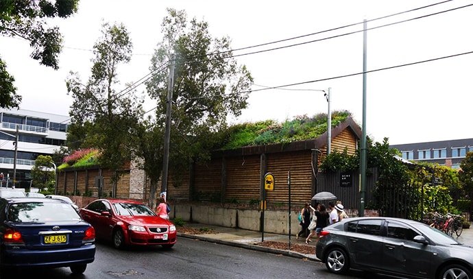 fytogreen-living-roof-plants-growing-on-roof
