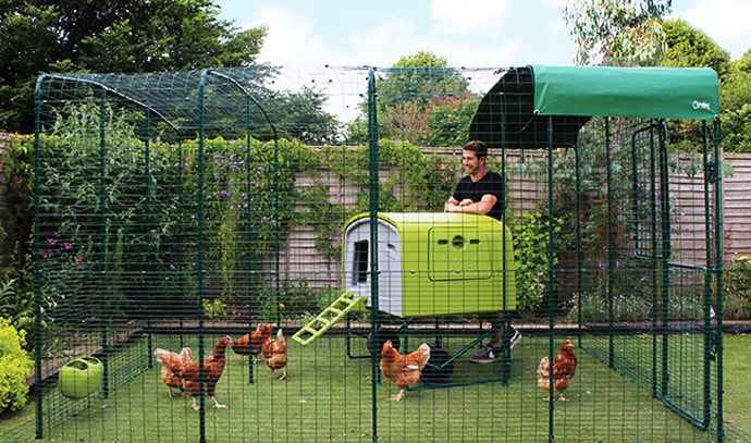 omlet-extended-4x4x2-walkin-run-cube-chickens